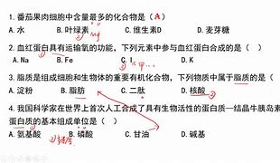 江苏高中语文学习方法 高中语文学好的技巧方法