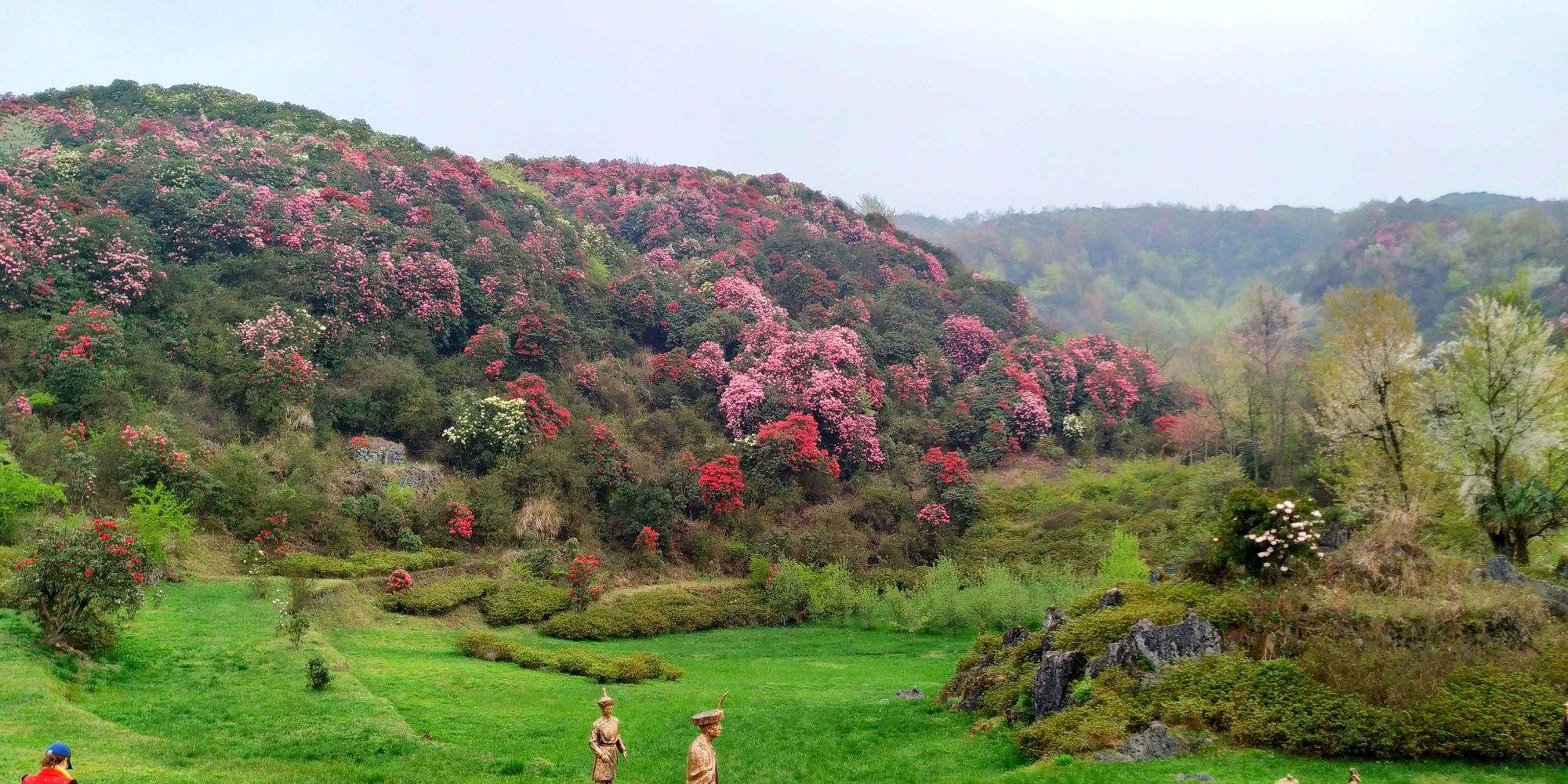 贵州百里杜鹃自驾游玩攻略 贵州百里杜鹃旅游门票多少钱