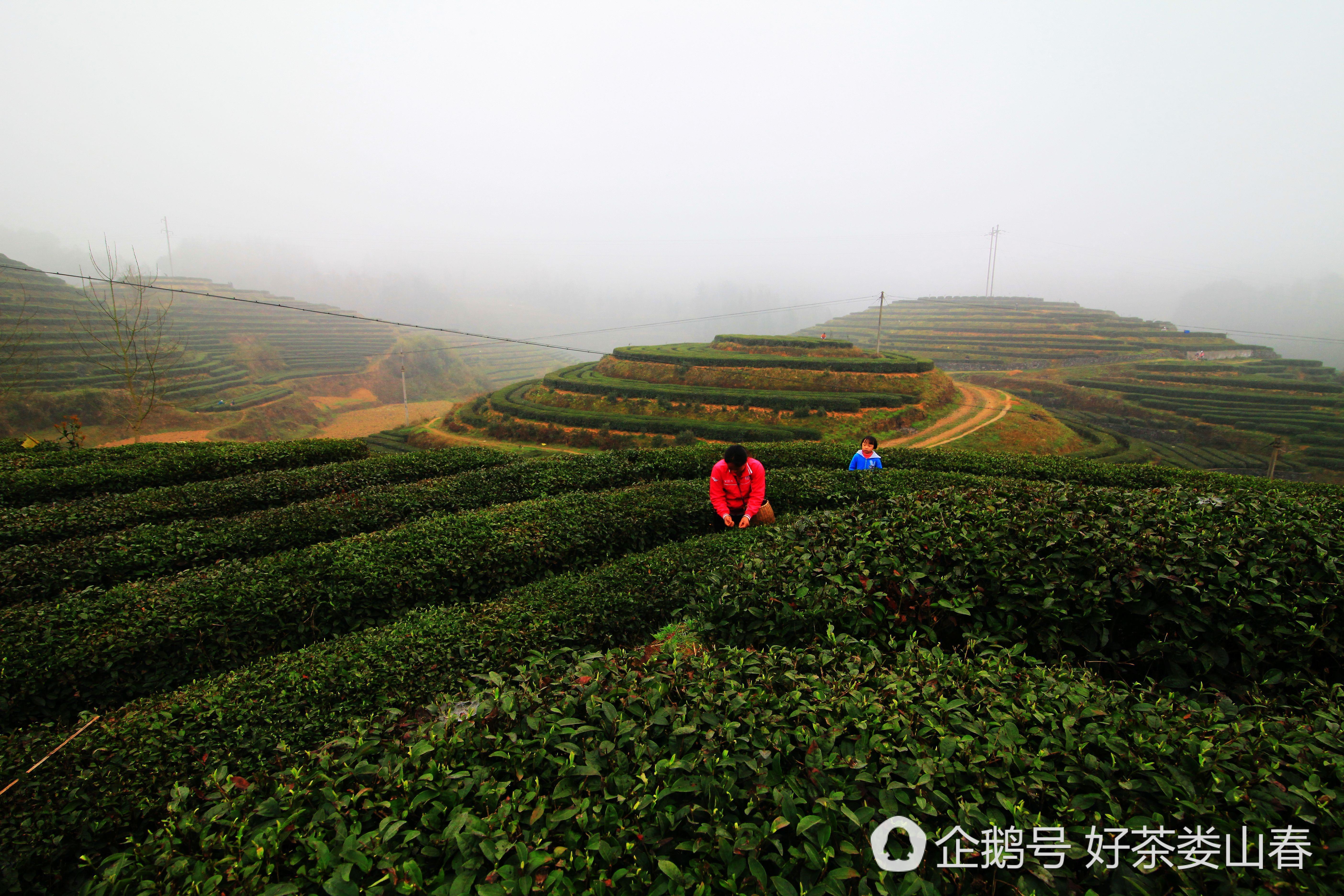 贵州遵义凤岗游玩攻略 遵义凤岗十大旅游景点大全