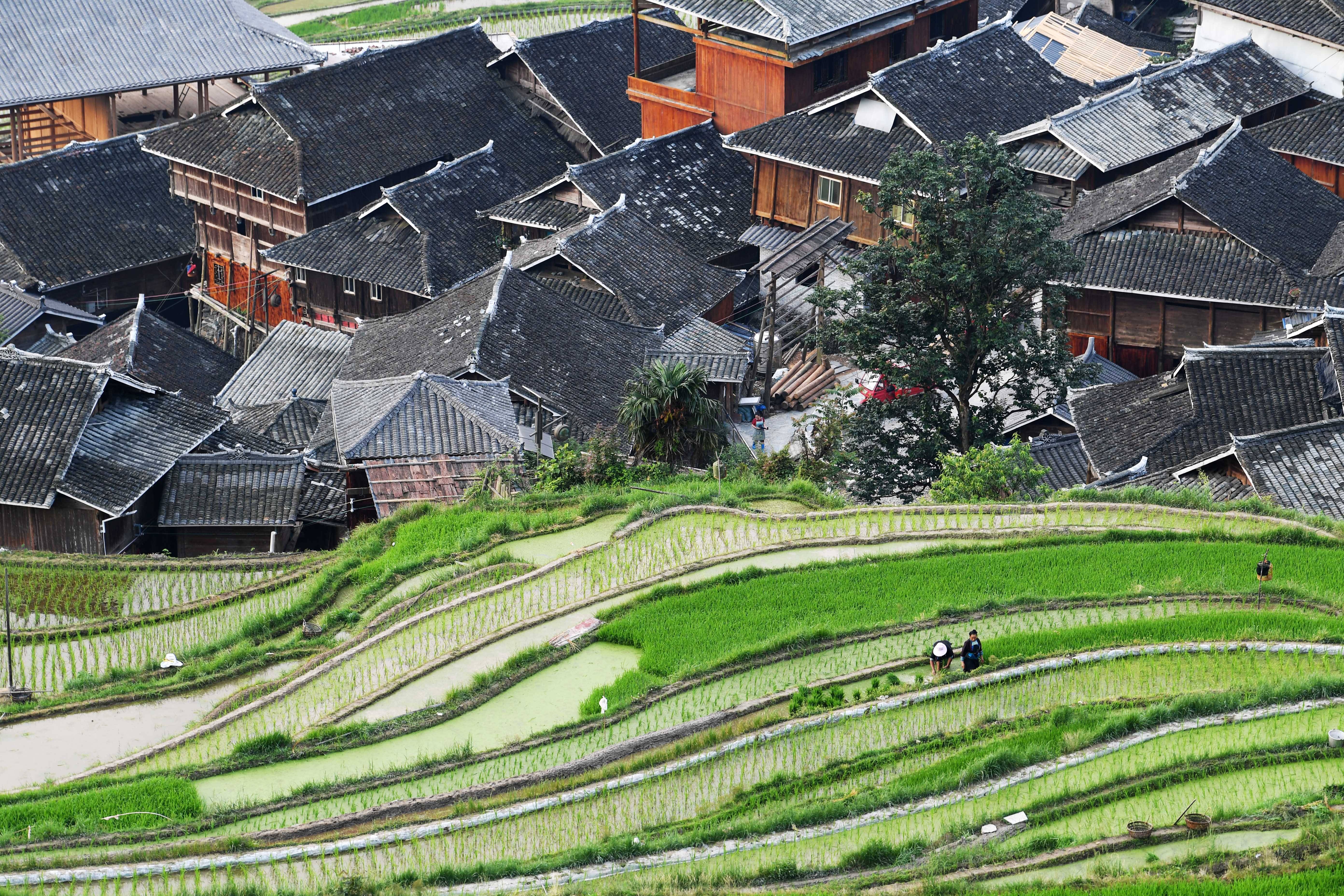 贵州从江县游玩攻略图片 贵州从江旅游攻略必去景点