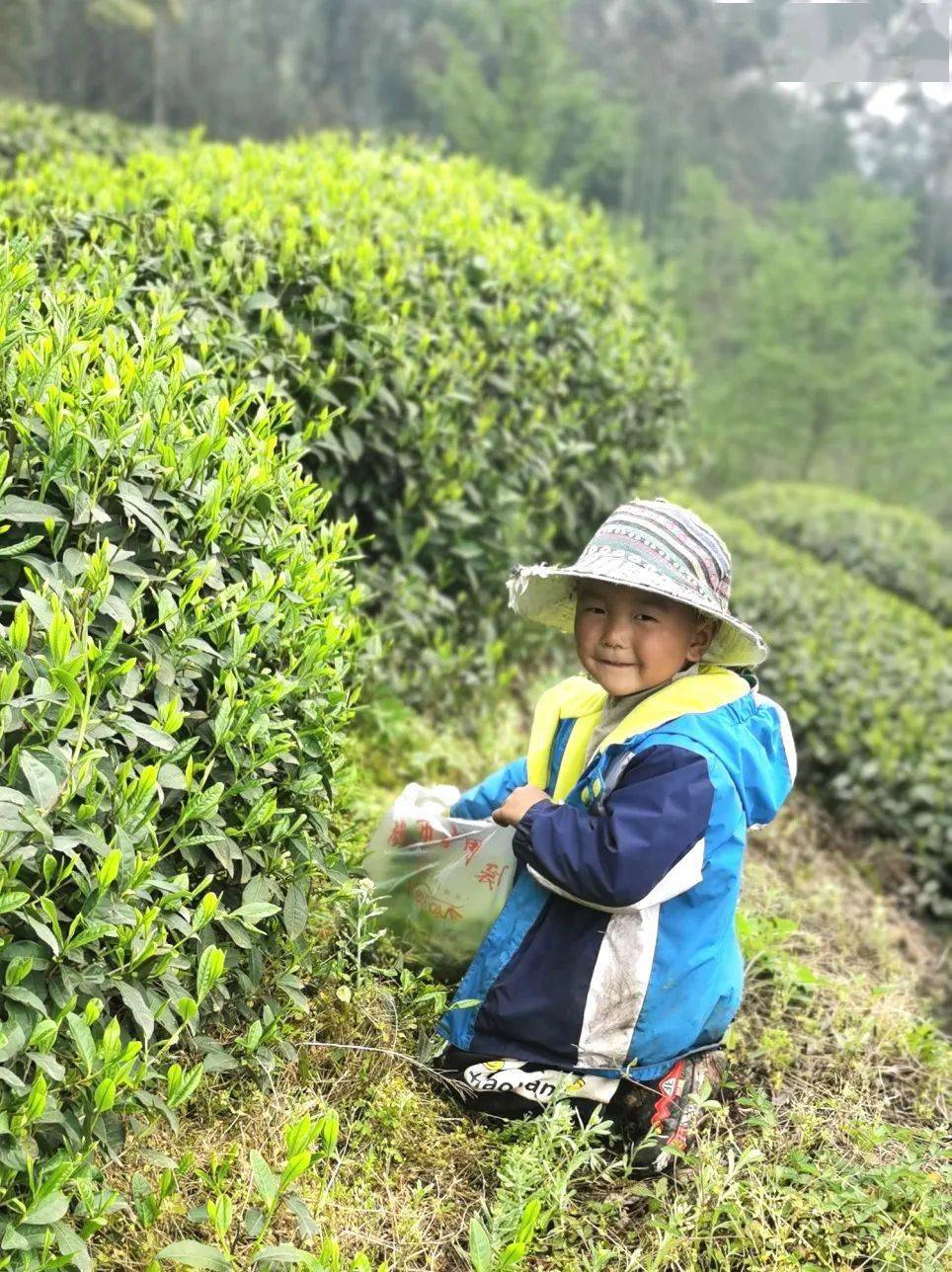 孩子到田间小路散步的好处 孩子到田间小路散步的好处和坏处