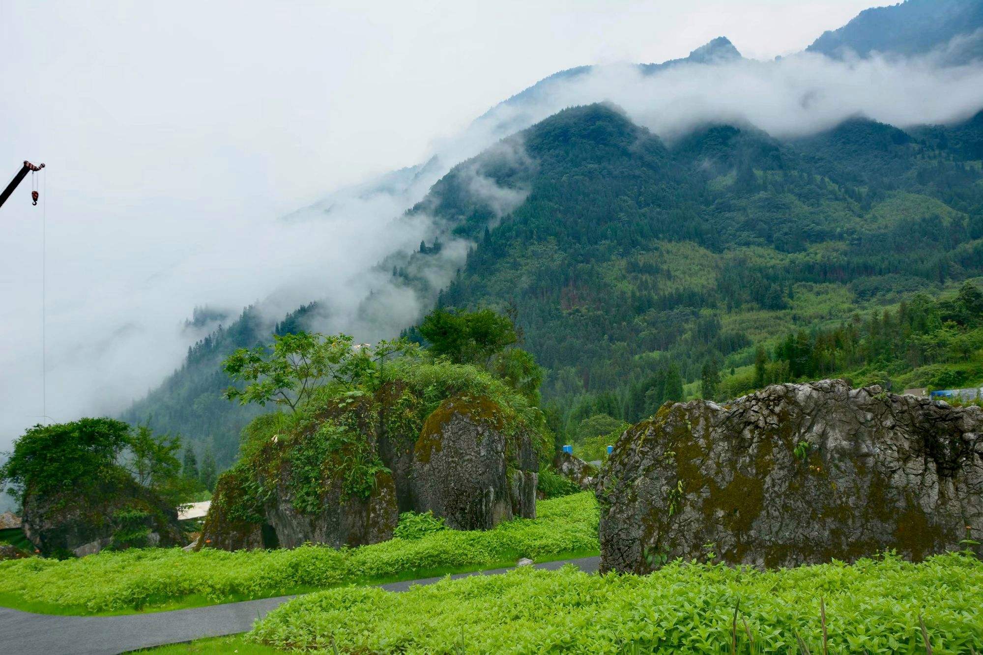 在大山散步的好处是什么 在大山散步的好处是什么呢