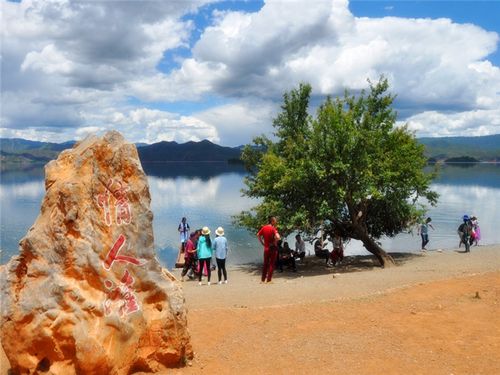 深圳云南旅游攻略自由行大概费用 