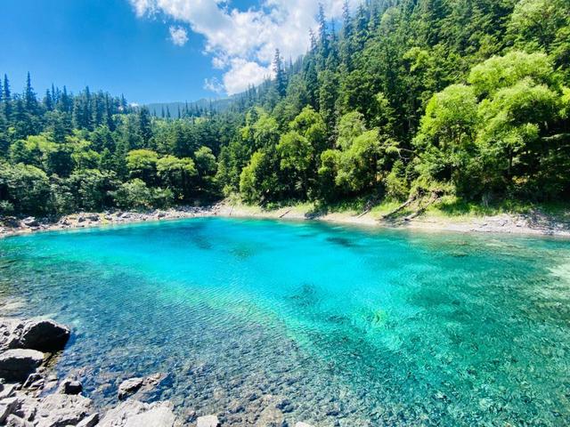 成都旅游自由行攻略三日游多少钱 成都旅游自由行攻略三日游多少钱啊