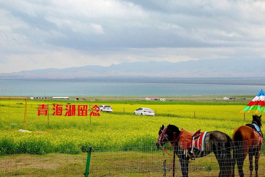 洛阳青海湖自驾旅游攻略 洛阳青海湖自驾旅游攻略一日游