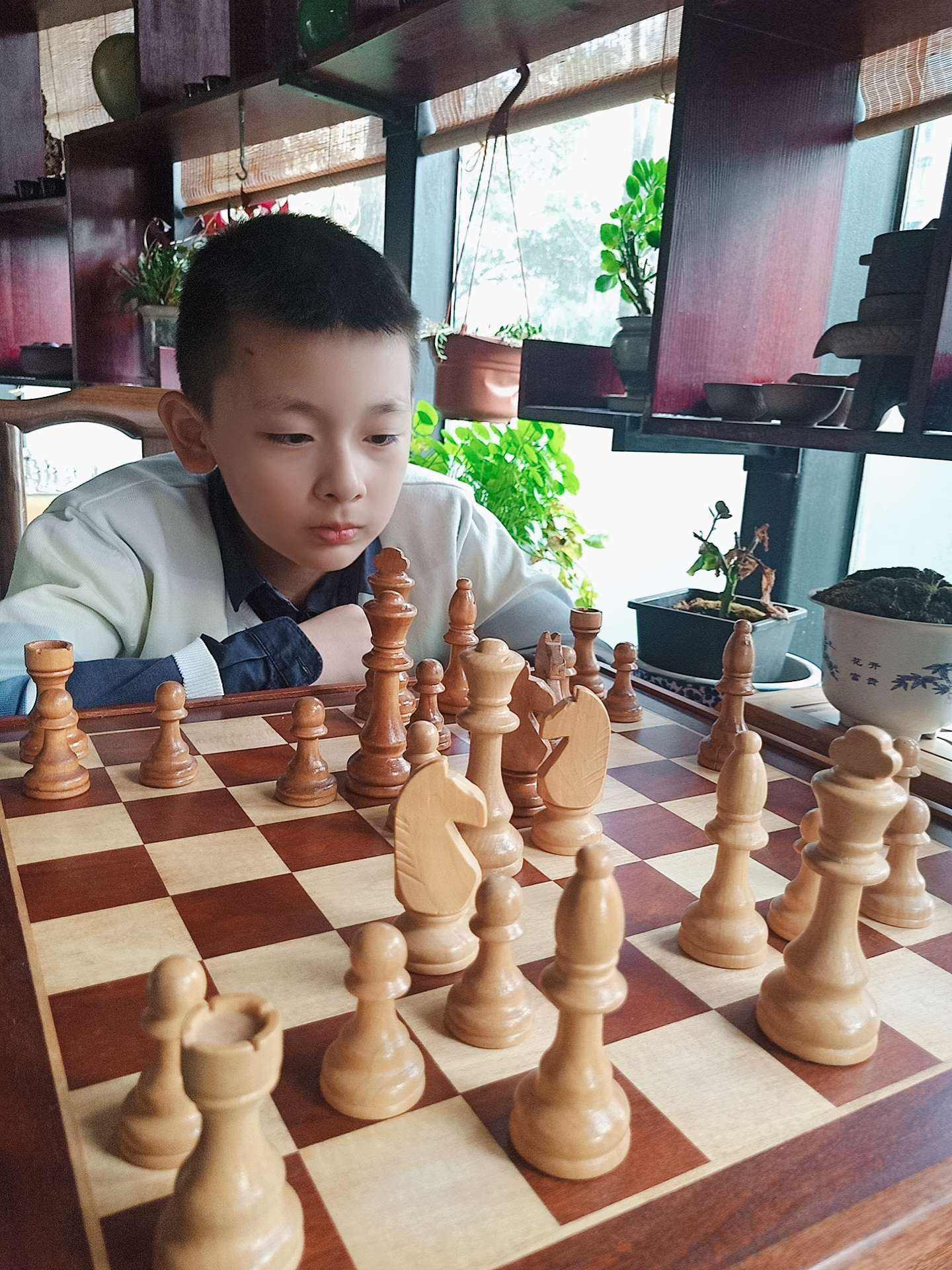 国际象棋卡片版怎么玩的 国际象棋卡片版怎么玩的视频