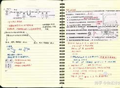 衡水学霸学习方法视频 当年衡水学霸过得怎么样