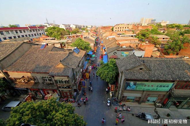 东都洛阳旅游美食攻略路线 洛阳以前的东都商厦具体在哪个位置