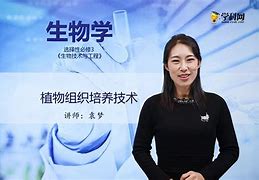 名校学霸学习方法高中 名校学霸老师到家辅导提供语文数学英语等辅导服务