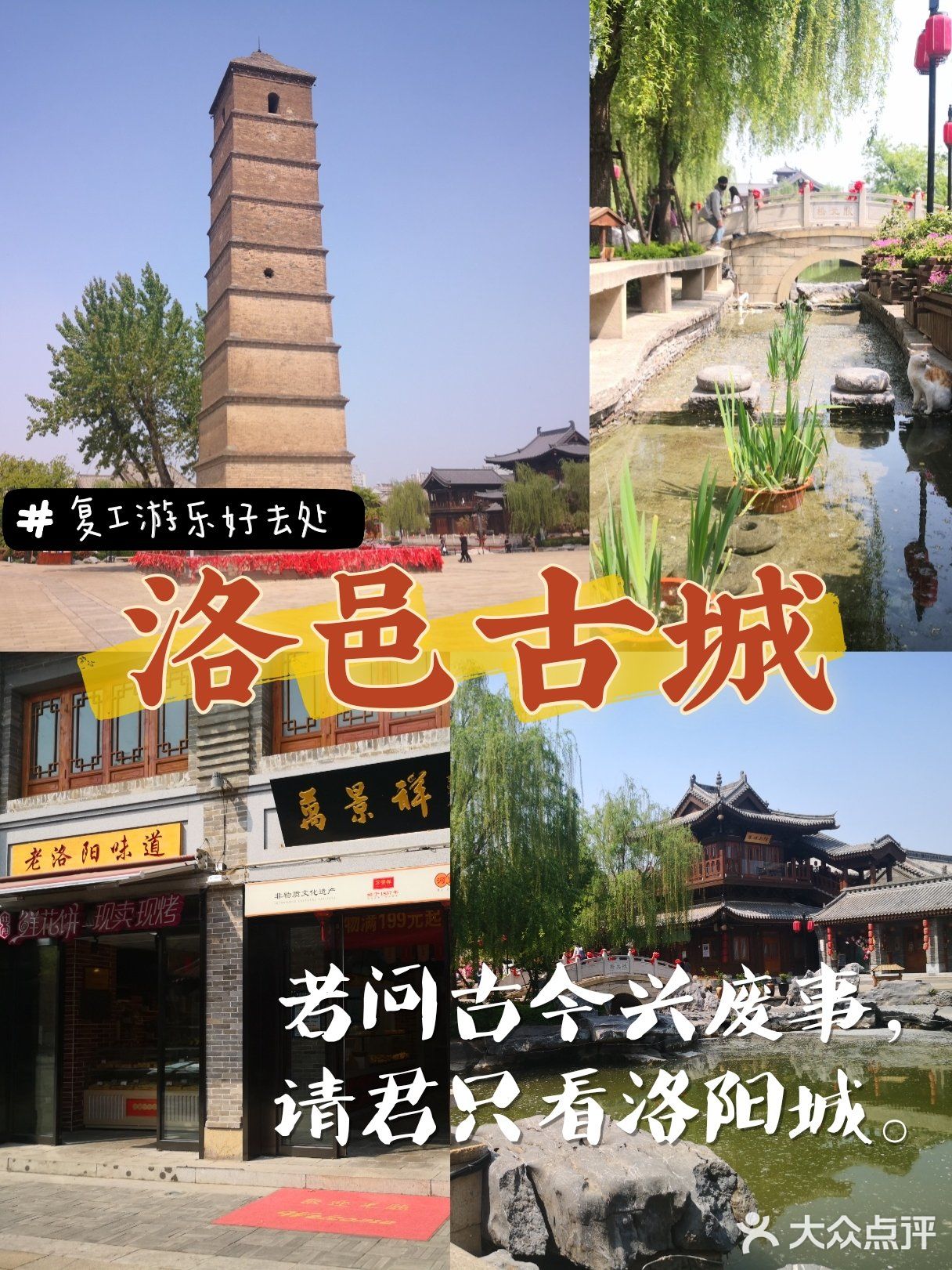 北京回河南洛阳旅游攻略 北京回洛阳需要核酸检测吗