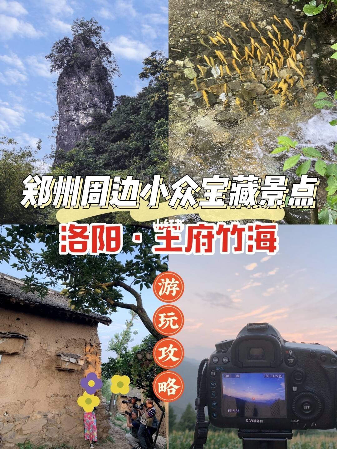 洛阳旅游攻略低价 洛阳旅游攻略自由行