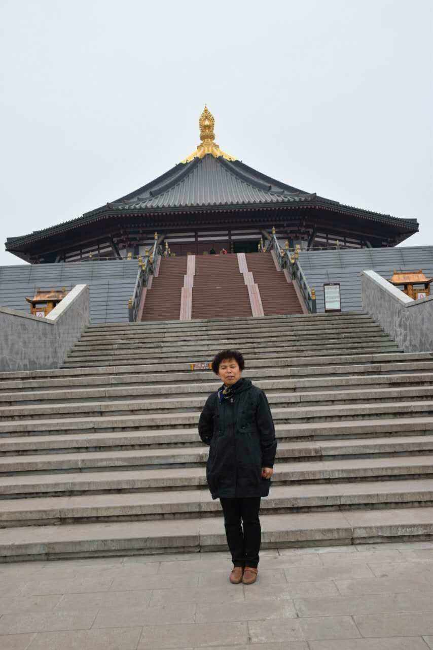 洛阳一日游上海攻略旅游 洛阳一日游上海攻略旅游路线