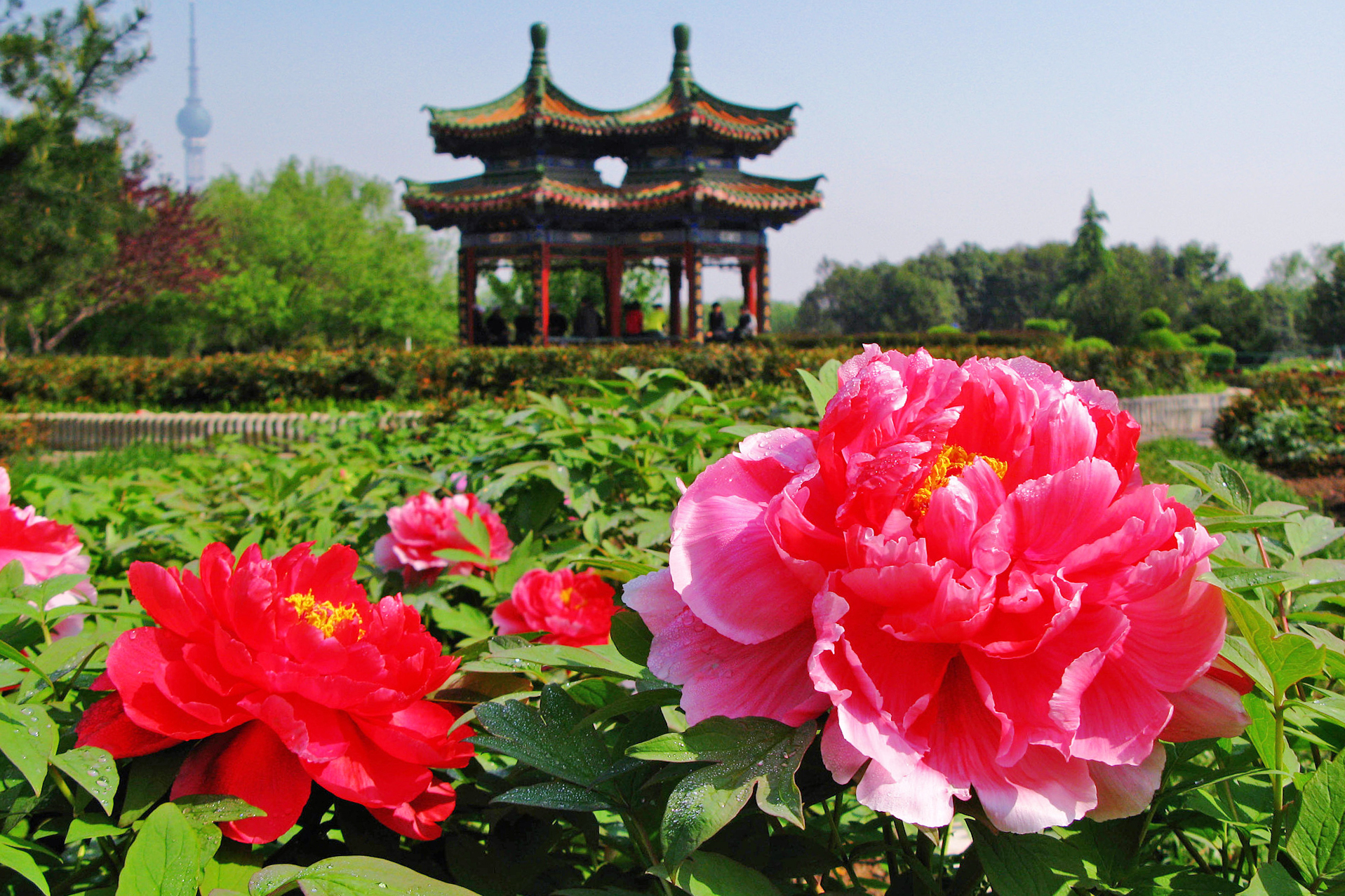 洛阳洛龙区旅游攻略图高清 洛阳洛龙区景点大全旅游景点