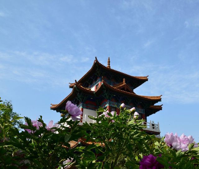 洛阳三日游旅游攻略带孩子 洛阳三日游旅游攻略带孩子去哪里