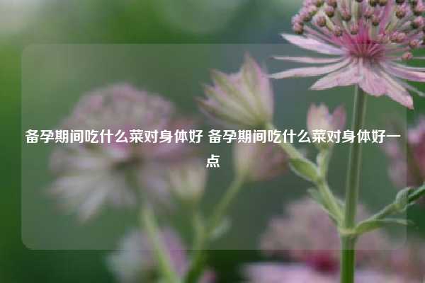 备孕期间吃什么菜对身体好 备孕期间吃什么菜对身体好一点