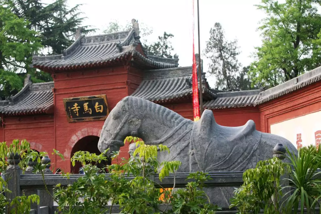 洛阳白马寺老君山旅游攻略 洛阳白马寺门票及老人优惠价格表