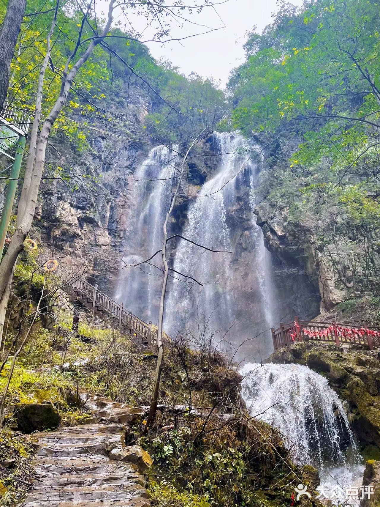 洛阳春节王府竹海及周边旅游攻略 