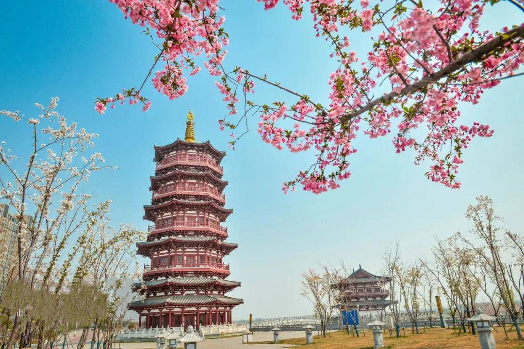 洛阳洛龙区旅游攻略必去的地方 洛阳洛龙区旅游攻略必去的地方有哪些