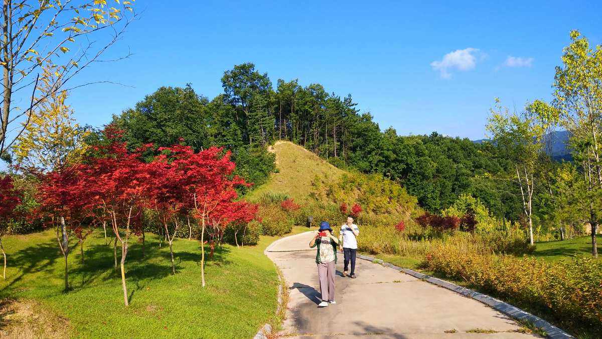 洛阳栾川杨树坪旅游攻略 栾川杨树坪村景色咋样好玩吗