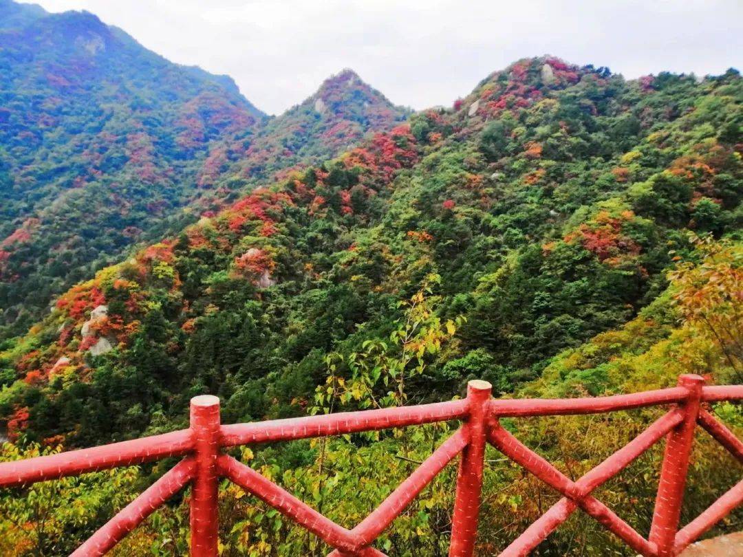 洛阳山谷旅游攻略 洛阳山谷旅游攻略一日游