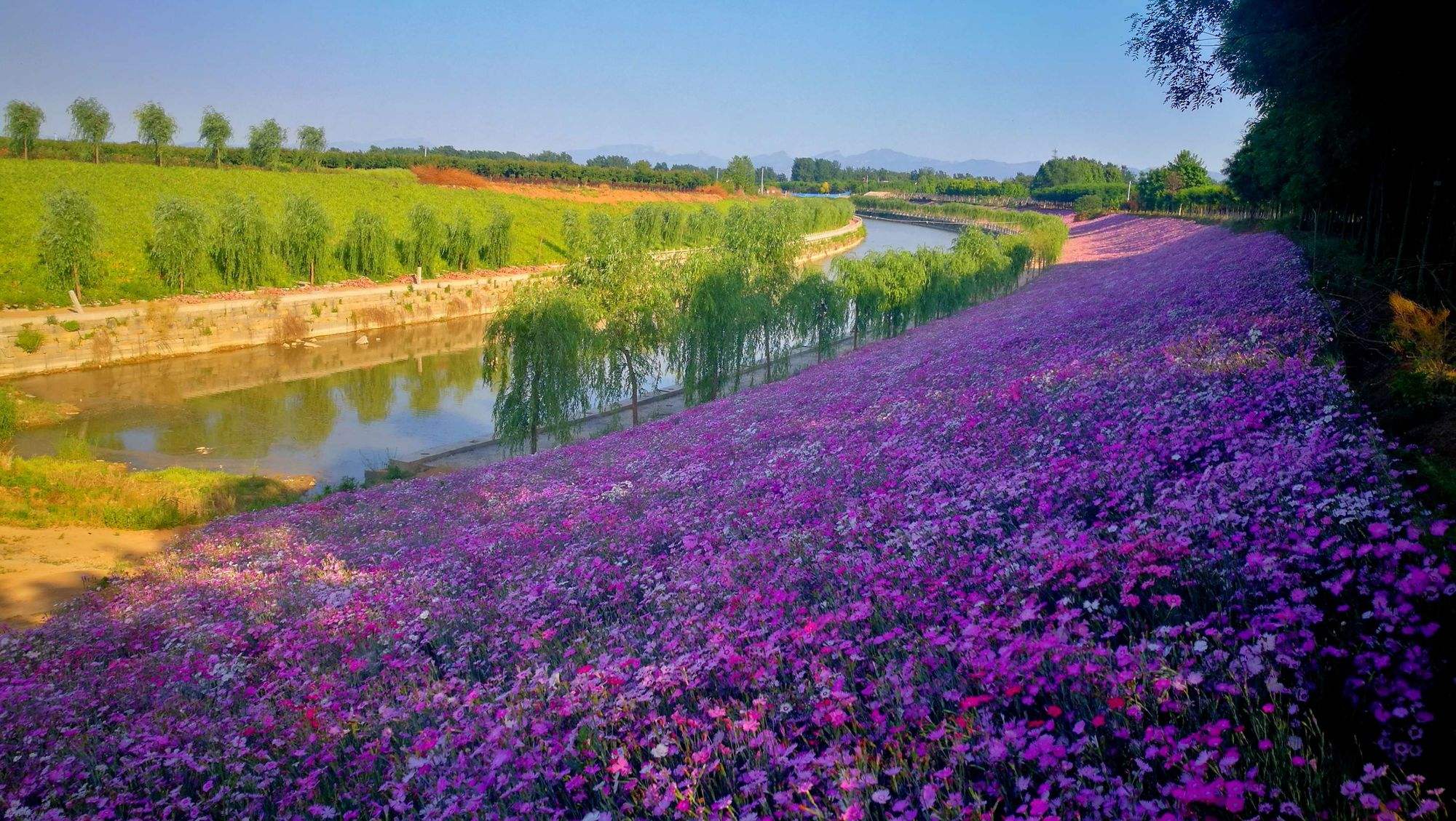 洛阳初夏旅游攻略 洛阳初秋哪里景色很美