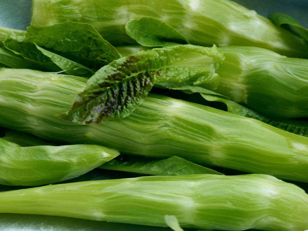 20天吃什么素菜对身体好 20天吃什么素菜对身体好处