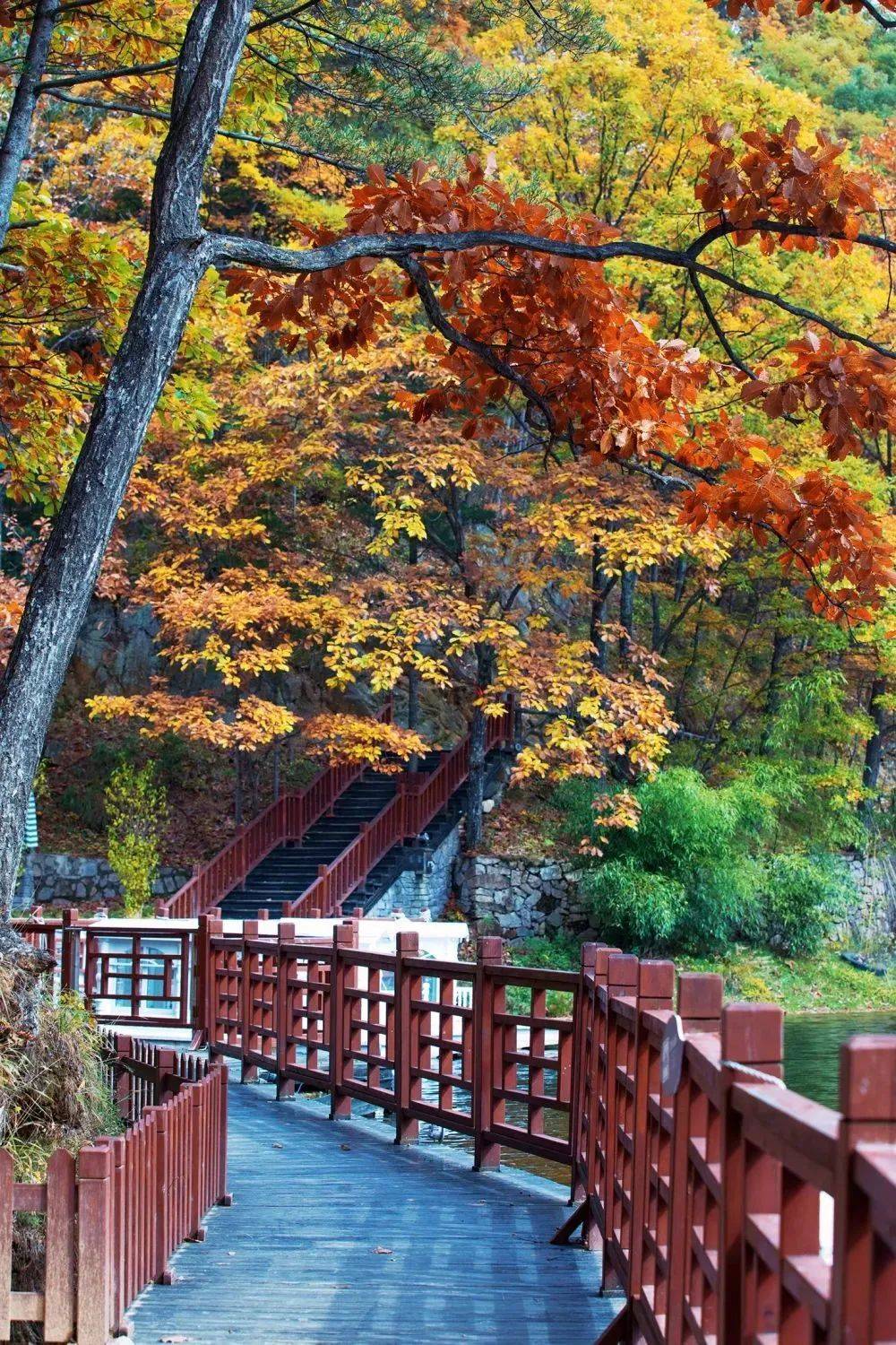 洛阳白云山一日游攻略旅游 