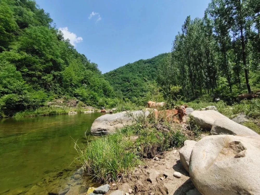 洛阳周边旅游攻略两天自驾 洛阳周边旅游攻略两天自驾游