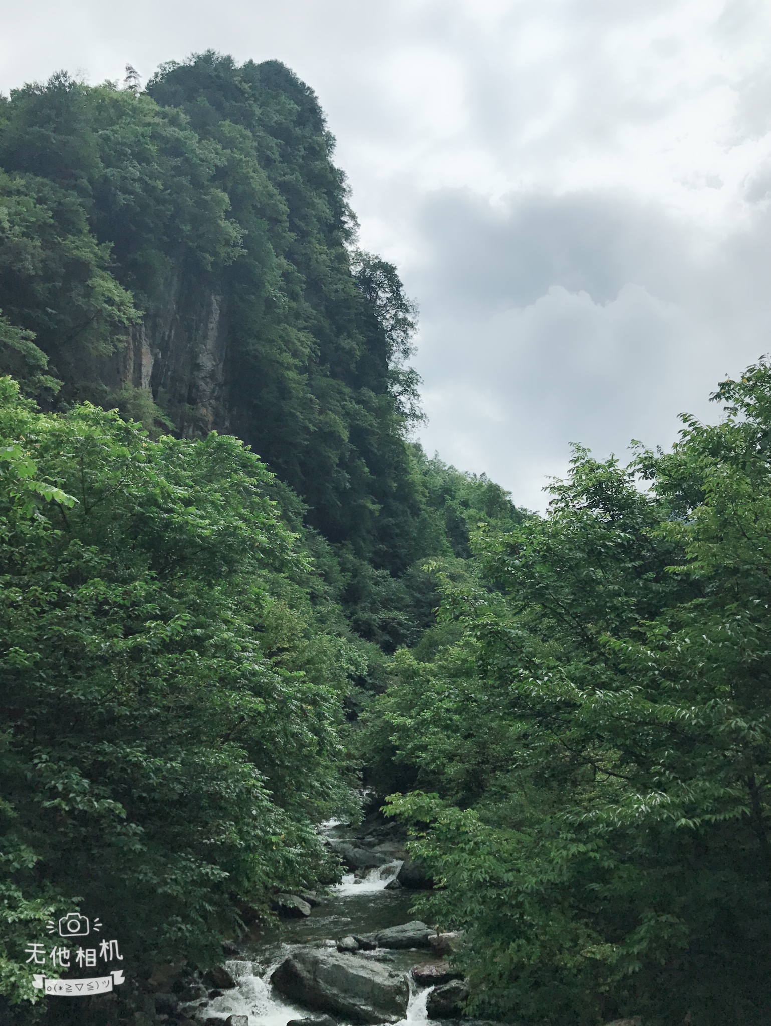 恩施神农架旅游攻略直播 恩施神农架哪个地方好去玩