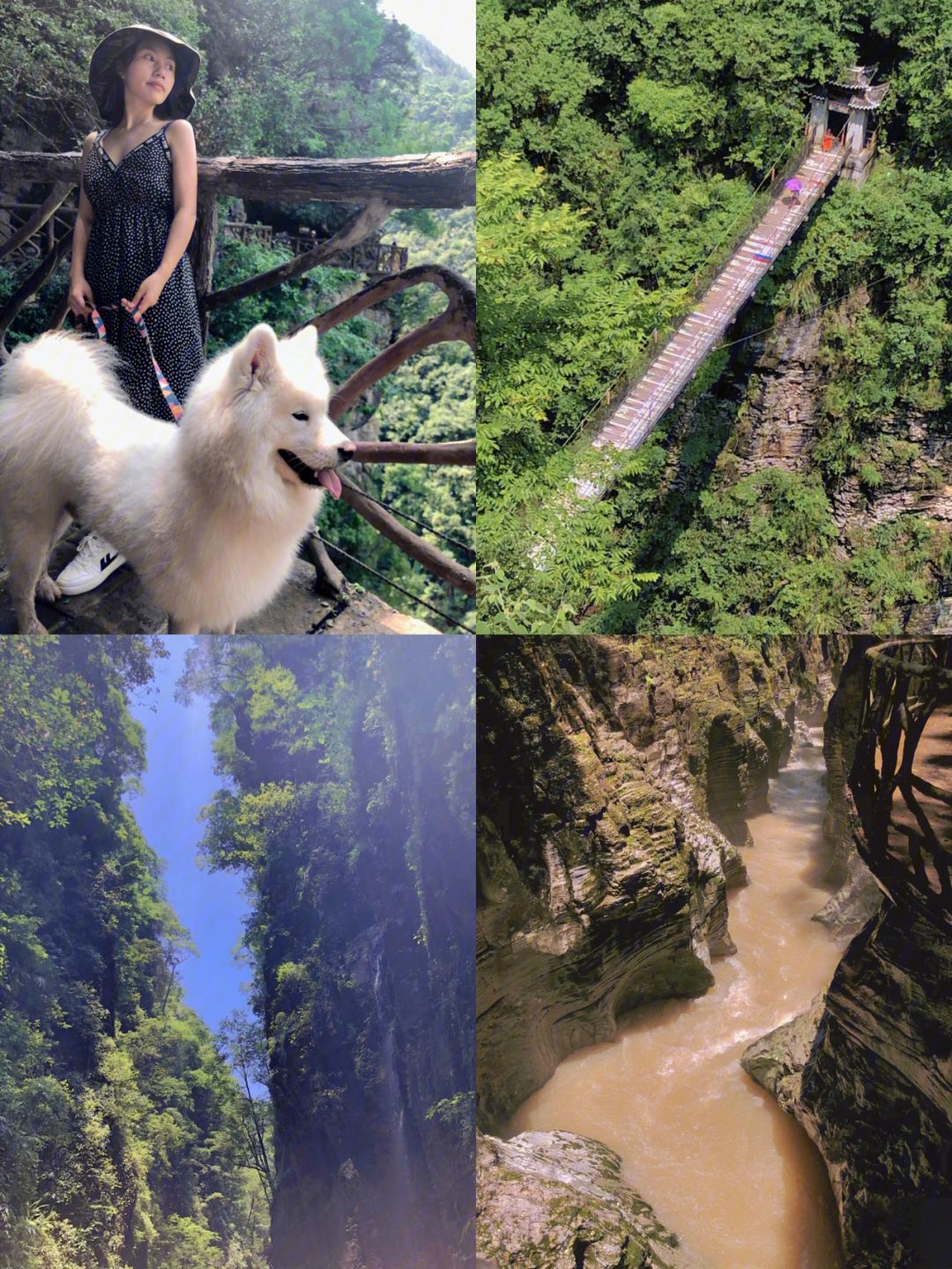 从龙山到恩施旅游攻略 从龙山到恩施旅游攻略一日游