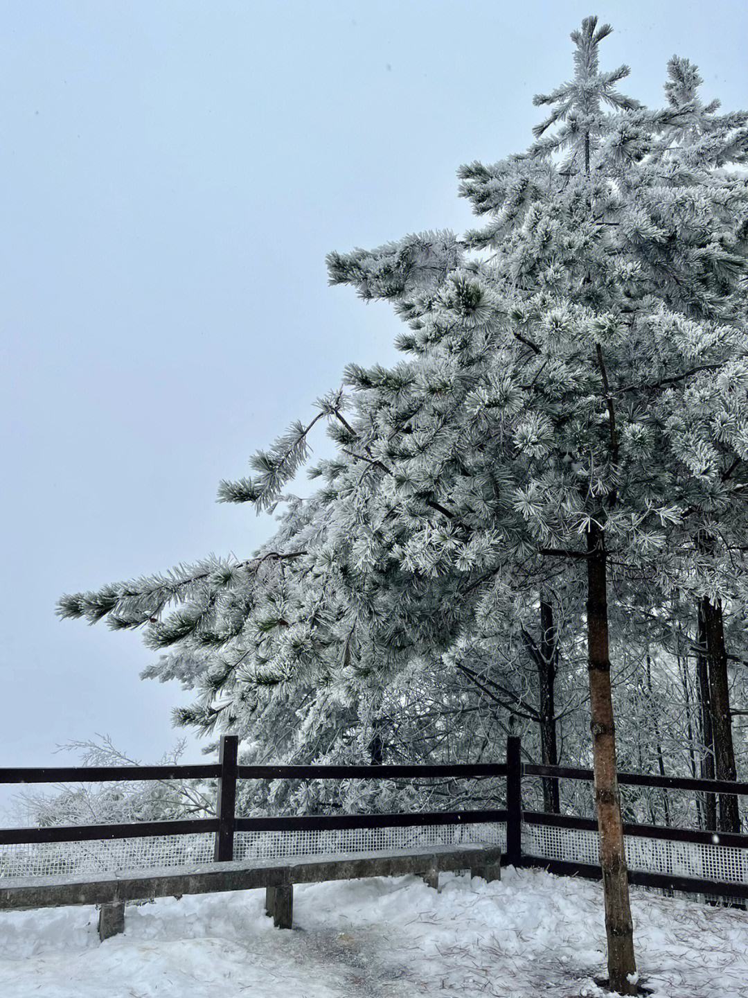 恩施旅游攻略七月底下雪 恩施旅游攻略七月底下雪的地方