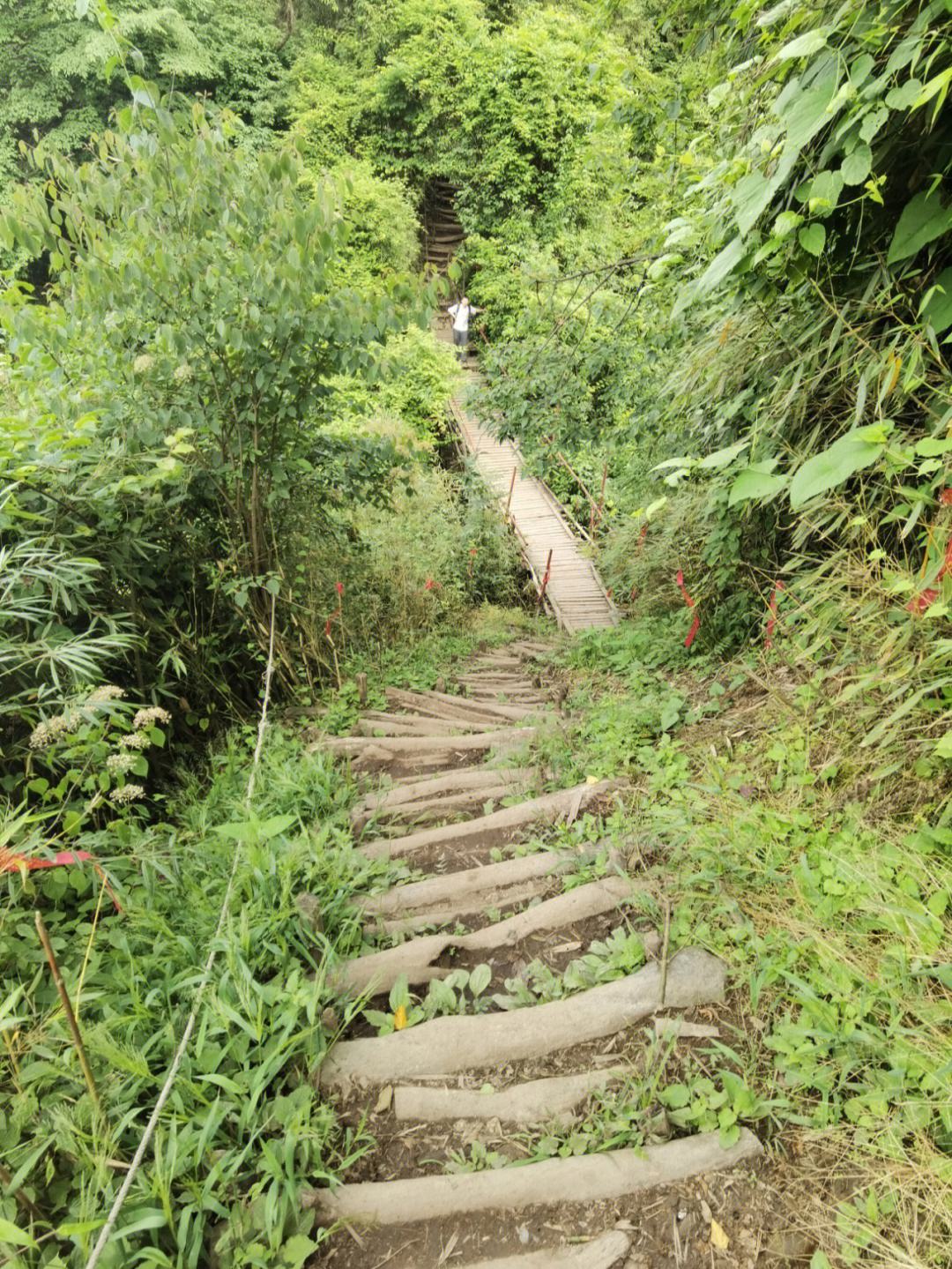 赵公山爬山的好处 赵公山景区路好走吗