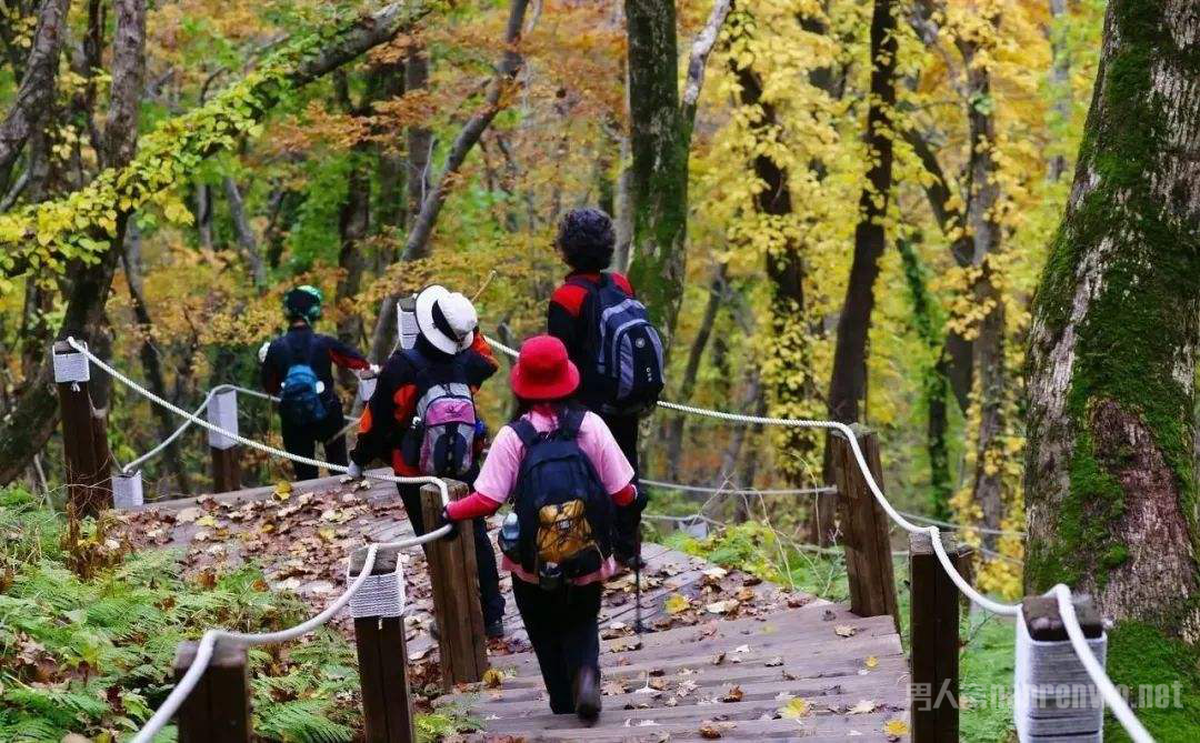 孩子爬山的好处和危害图片 孩子爬山的好处和危害图片大全