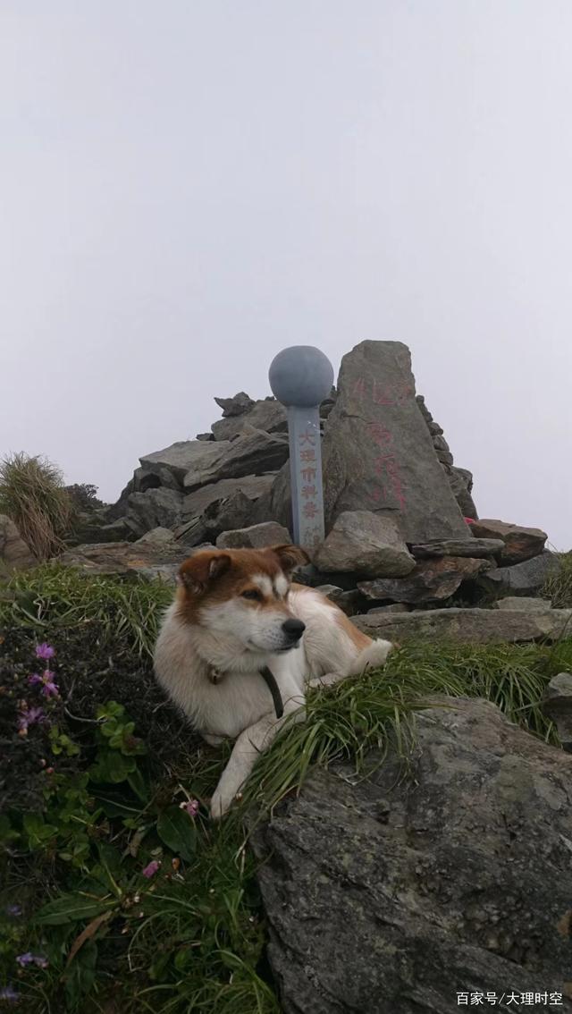 爬山爬苍山的好处 爬苍山会有高原反应吗