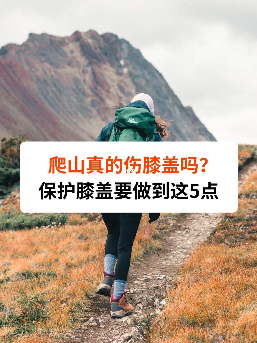 爬山全程楼梯的好处与坏处 爬山全程楼梯的好处与坏处是什么