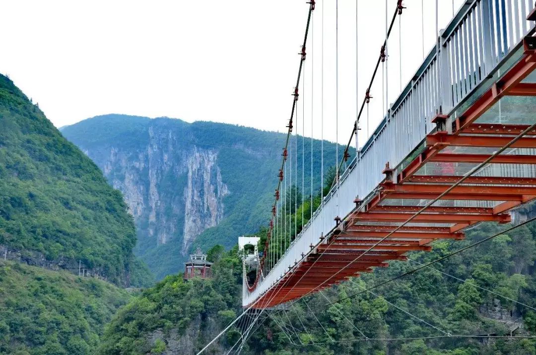 株州到恩施旅游攻略景点必去十处 