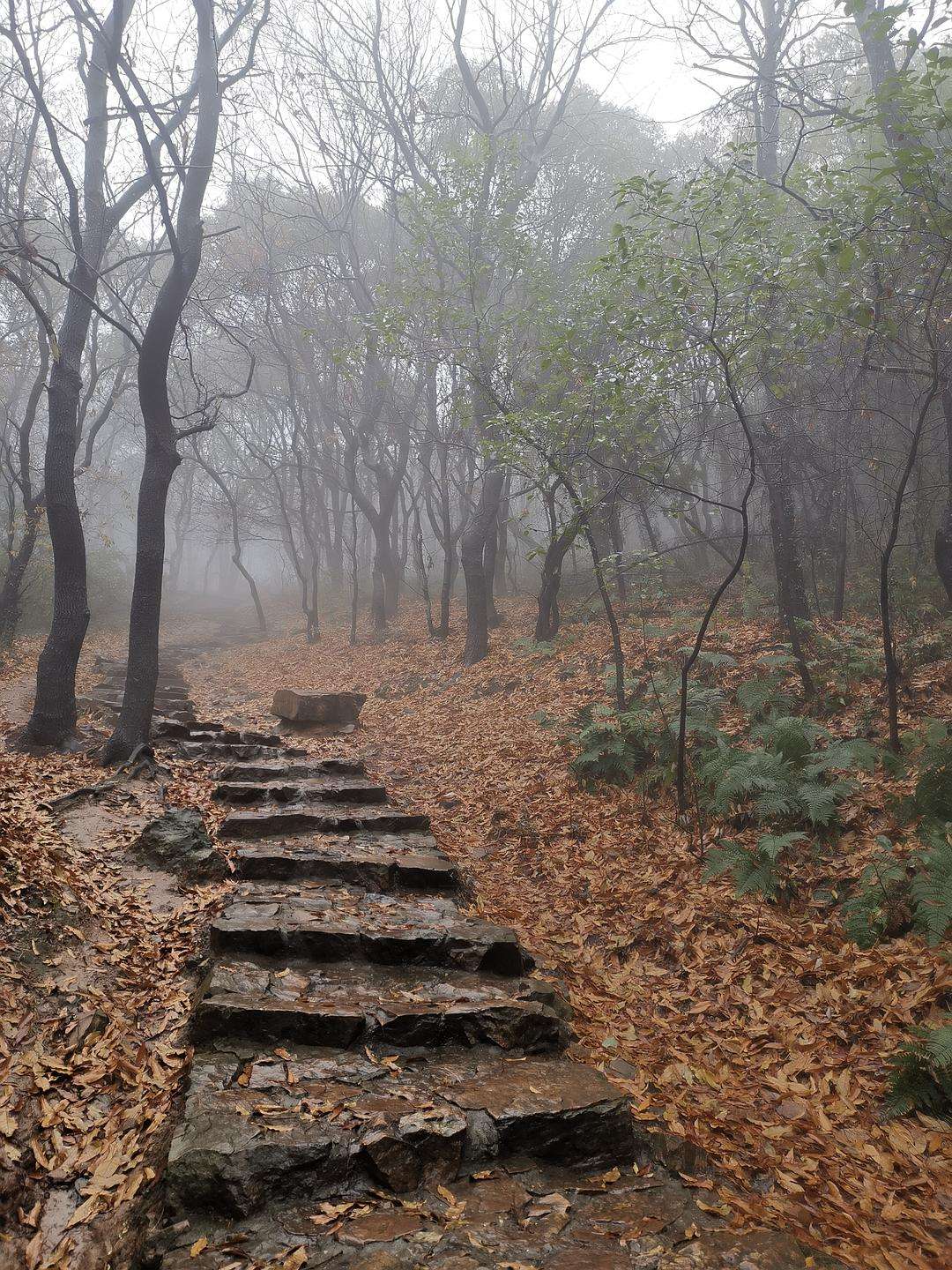 下雨爬山的好处有哪些图片 下雨爬山的好处有哪些图片和文字