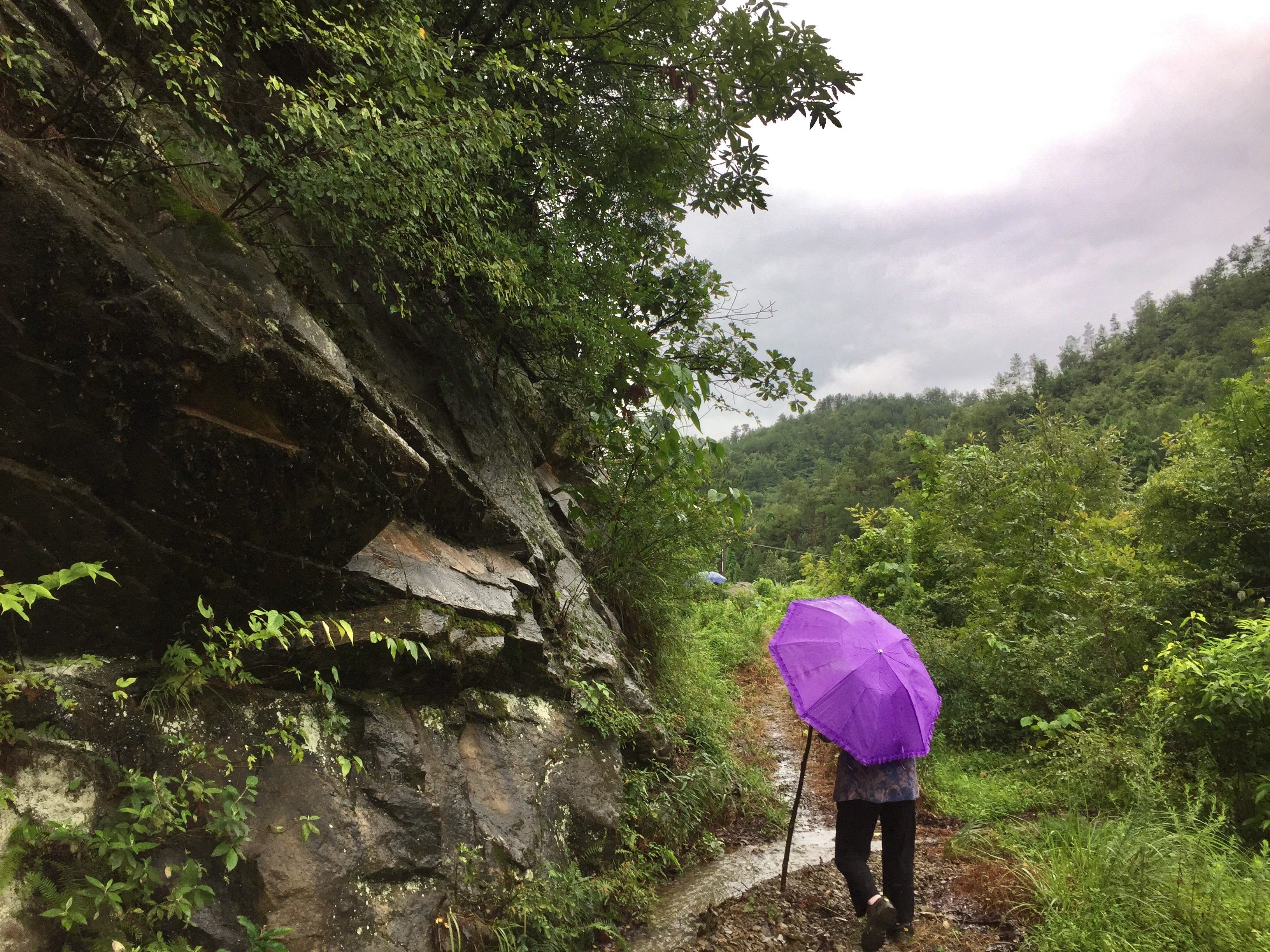 下雨爬山的好处有哪些图片 下雨爬山的好处有哪些图片和文字