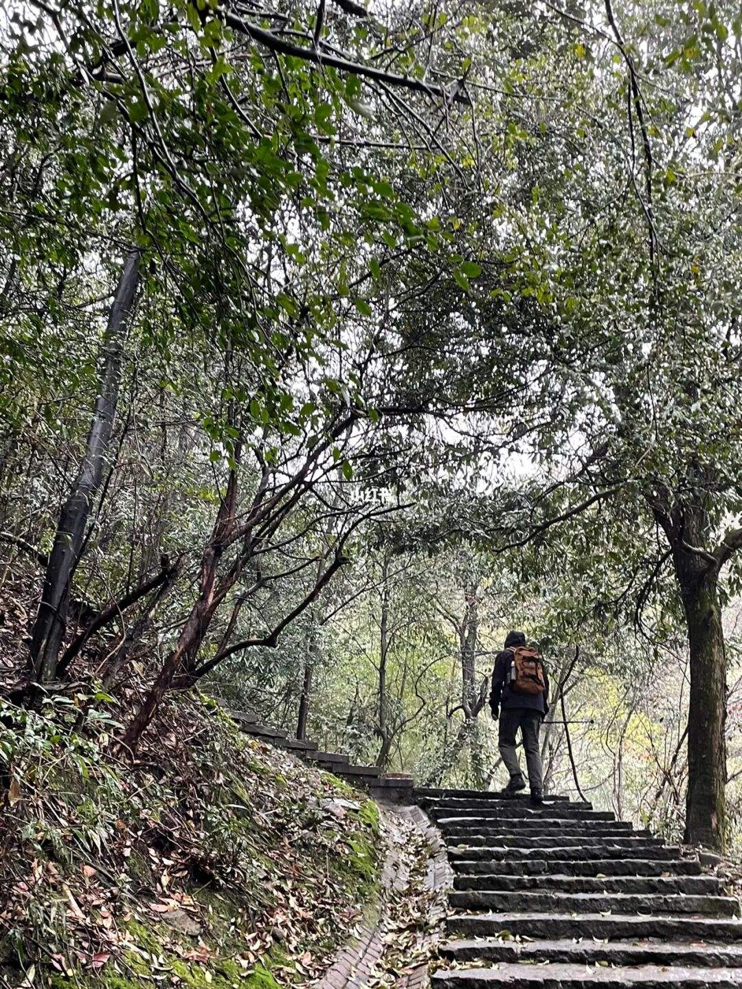 下雨爬山的好处和坏处图片 下雨爬山的好处和坏处图片大全