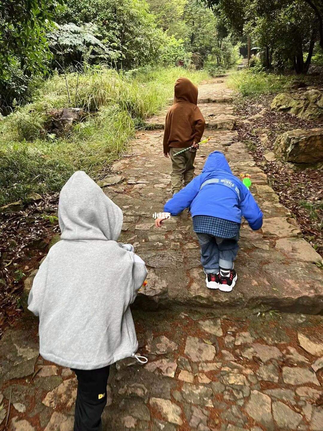 下雨爬山的好处和坏处图片 下雨爬山的好处和坏处图片大全