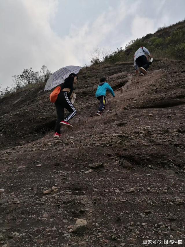 下雨爬山的好处有哪些方面 下雨天爬山是怎样一种体验吖