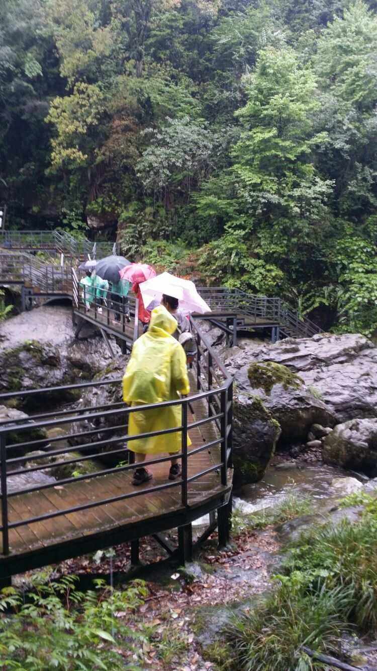 下雨爬山的好处有哪些方面 下雨天爬山是怎样一种体验吖