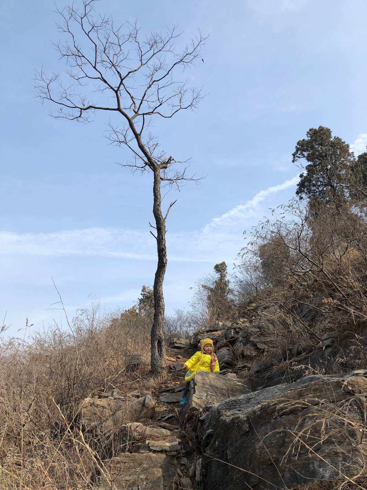 两岁儿童爬山的好处 两岁儿童爬山的好处有哪些