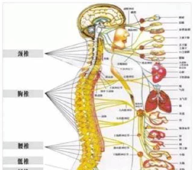 爬山打通任督脉的好处 爬山打通任督脉的好处与坏处