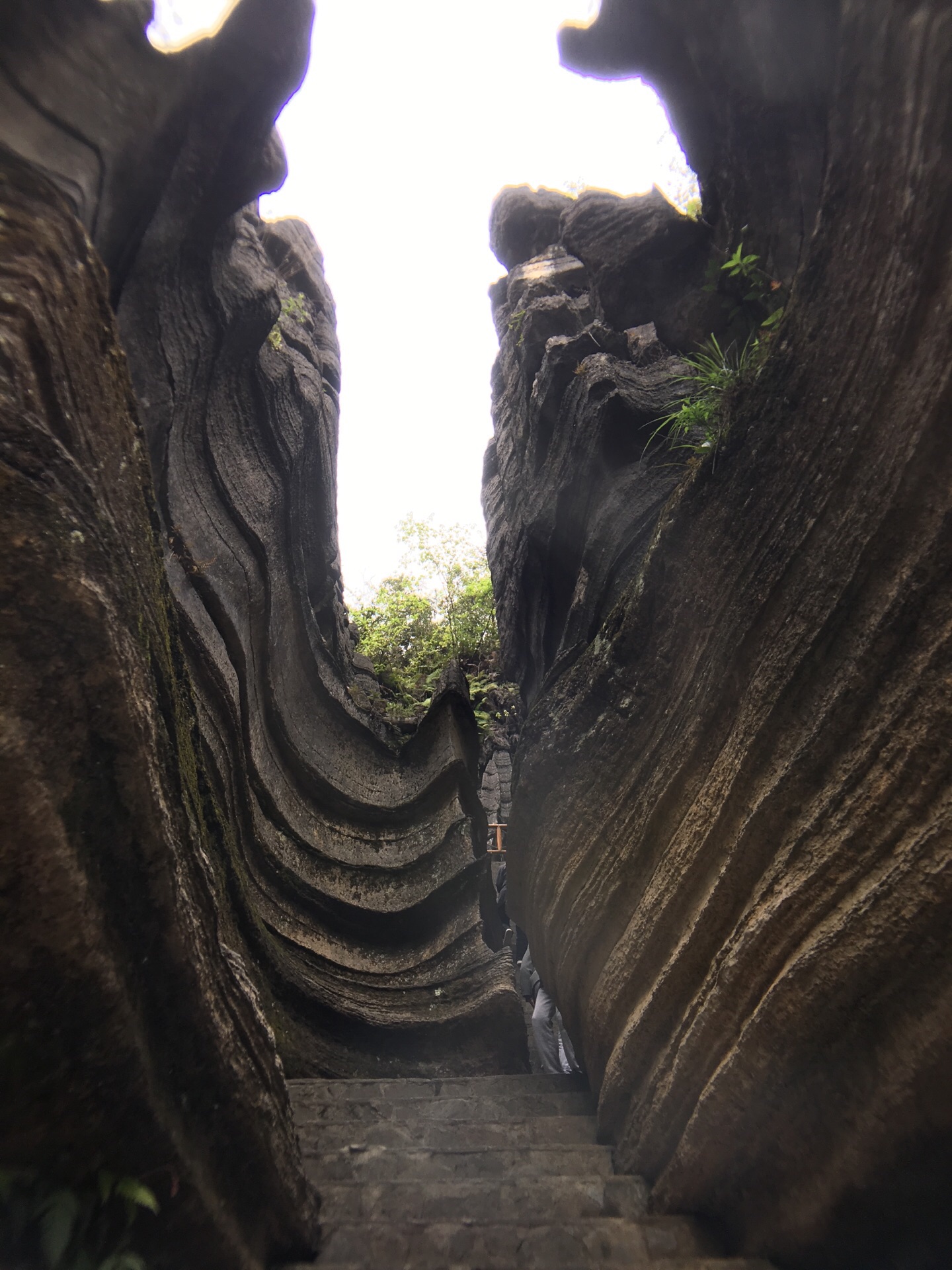 暑假恩施旅游攻略景点 恩施旅游必看攻略精华版