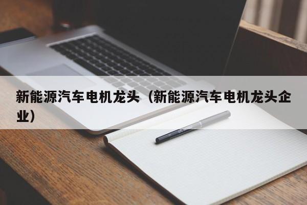 新能源汽车电机龙头（新能源汽车电机龙头企业）