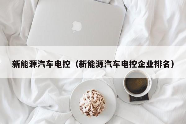 新能源汽车电控（新能源汽车电控企业排名）