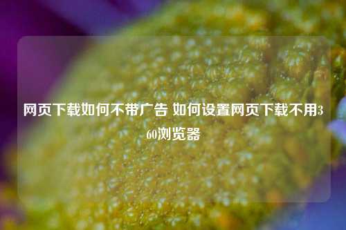 网页下载如何不带广告 如何设置网页下载不用360浏览器