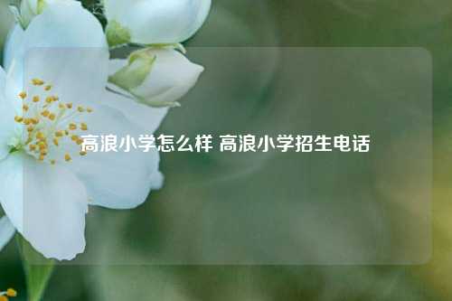 高浪小学怎么样 高浪小学招生电话