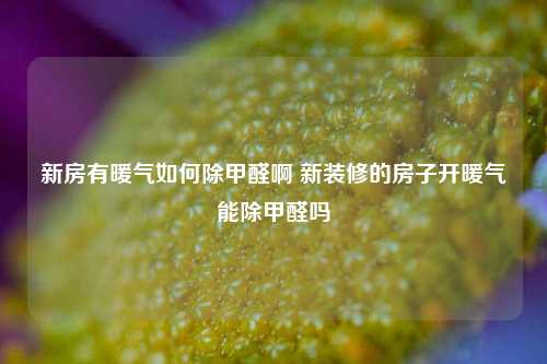 新房有暖气如何除甲醛啊 新装修的房子开暖气能除甲醛吗